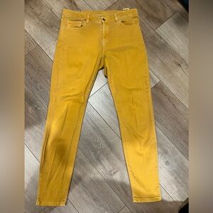 Michael Kors Golden Yellow Pants